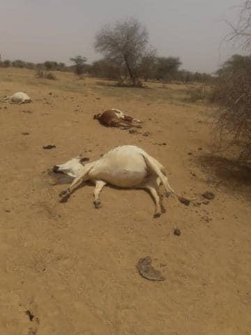 صورة من الانترنت