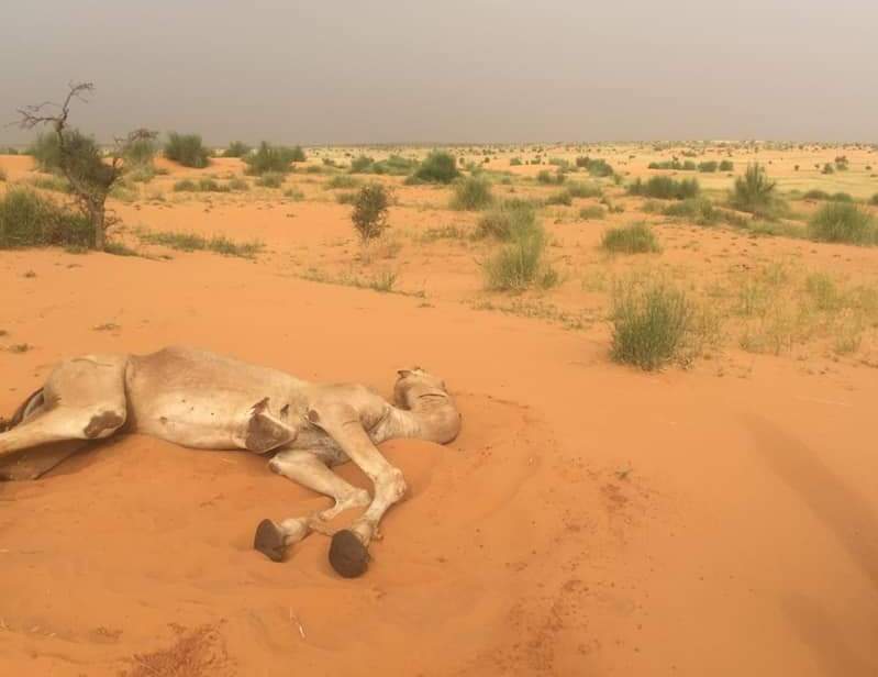 صورة تخدم النص 