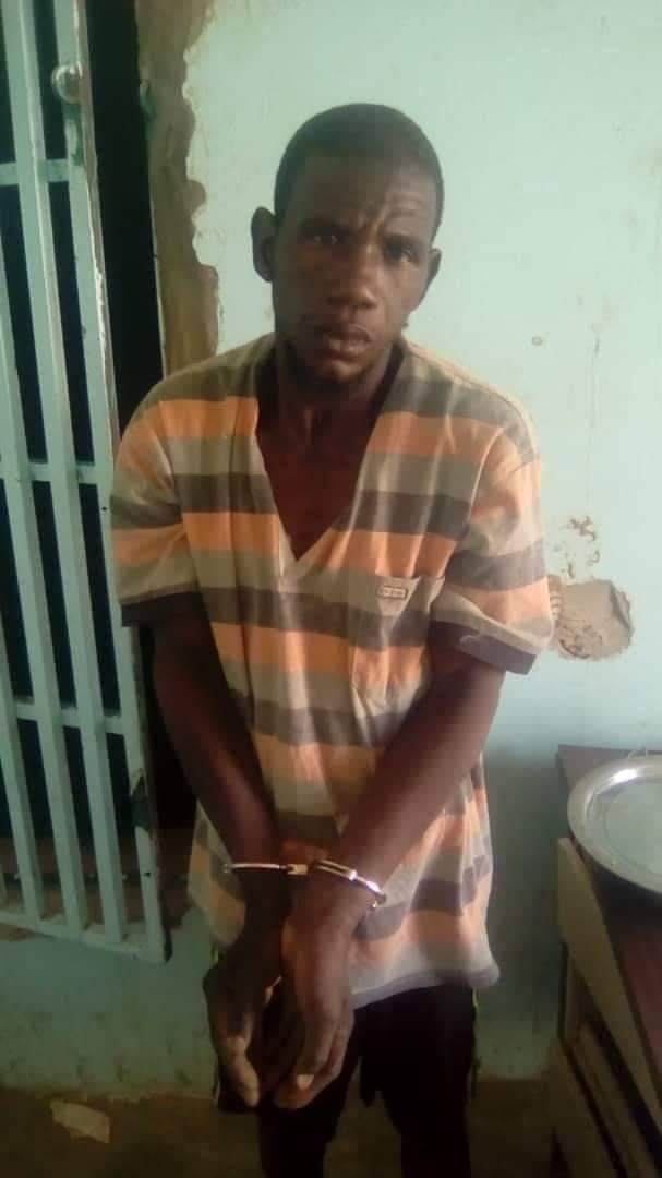 جزار الحمير