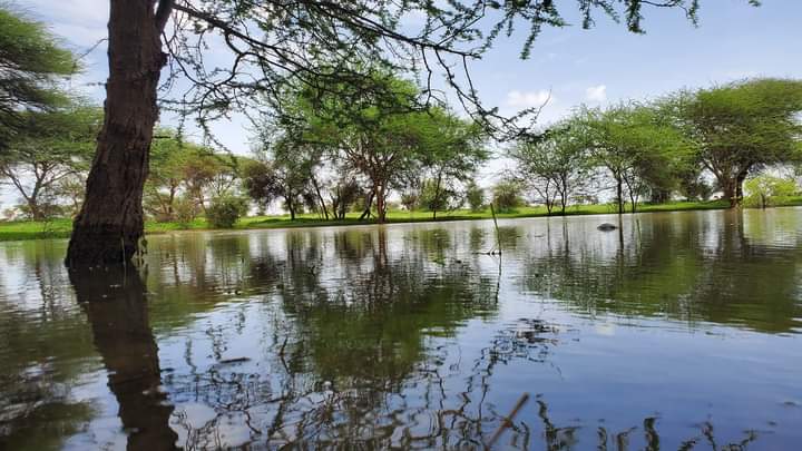 صورة من الأرشيف 