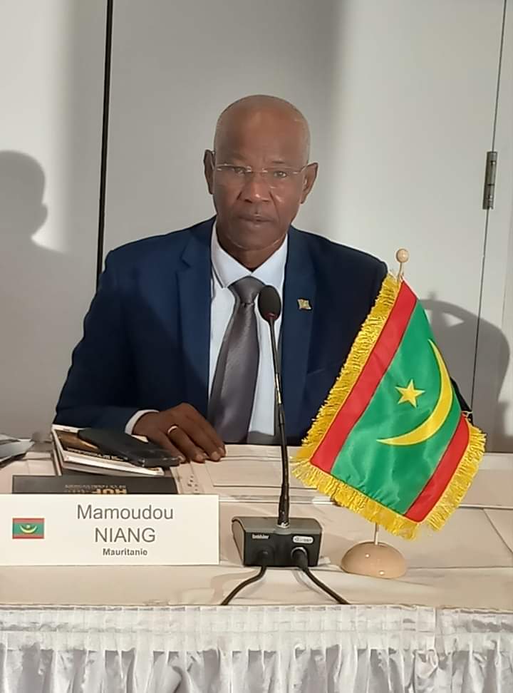 مامادو انيانج/وزير التعليم العالي