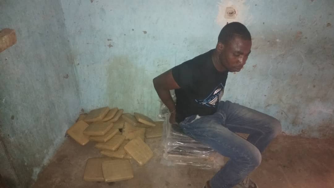 رئيس الشبكة